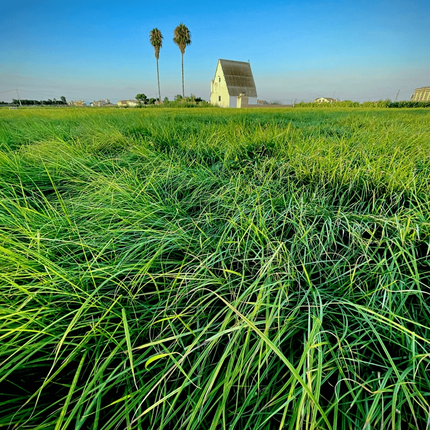 Turismo Alboraya
