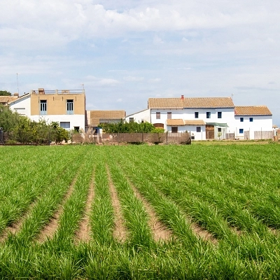 Planifica Alboraya