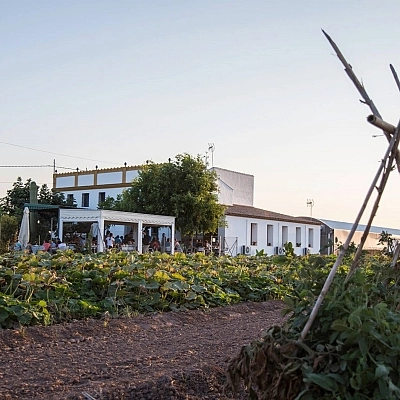 Planning Alboraya