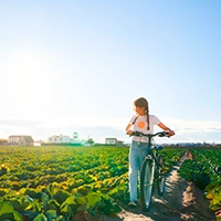 Turismo Alboraya