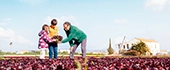 Turismo Alboraya