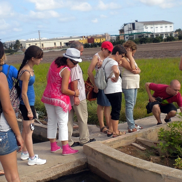 Valencia Original Tours