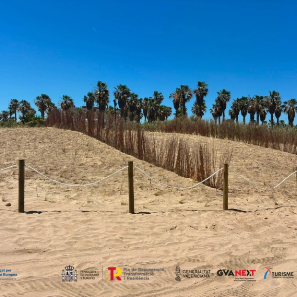 La platja dels Peixets d'Alboraia recupera les seues dunes