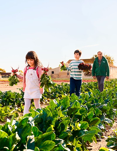 Turismo Alboraya