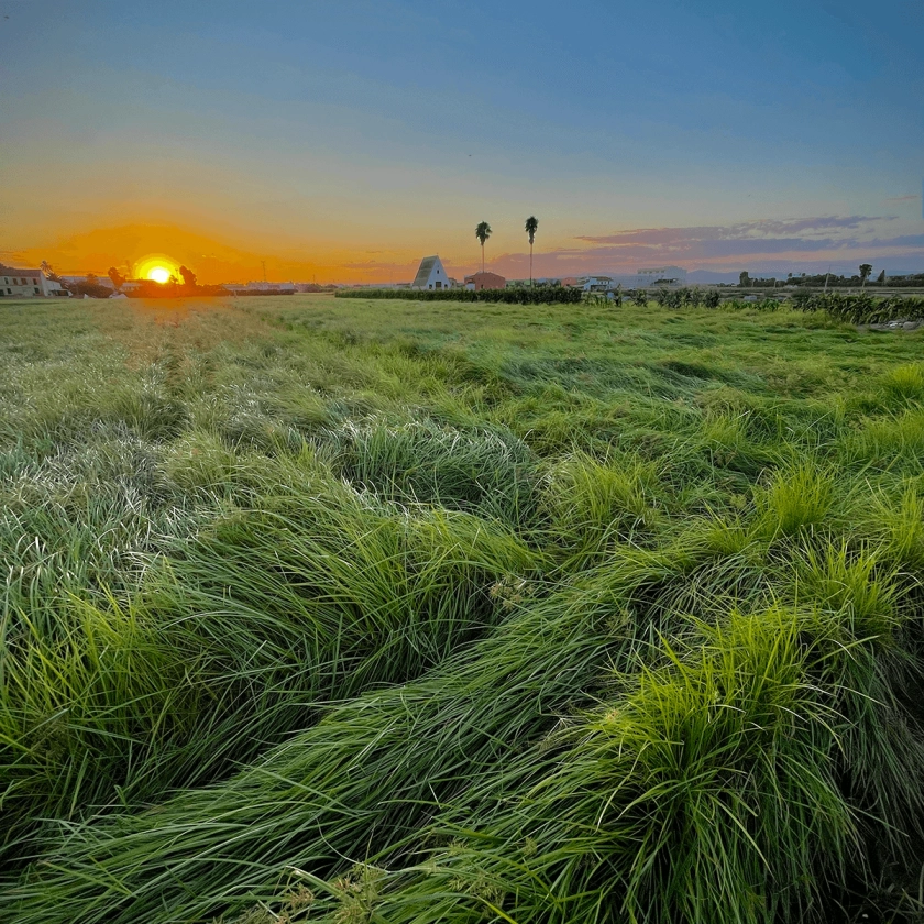 Turismo Alboraya